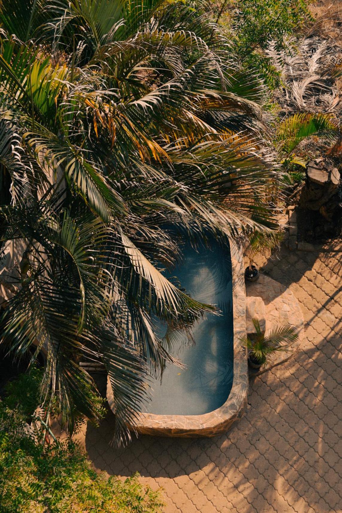 Beach Front Guesthouse Puerto Escondido  Εξωτερικό φωτογραφία